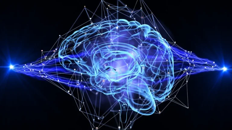 yapay zeka ile zihin okuma 2