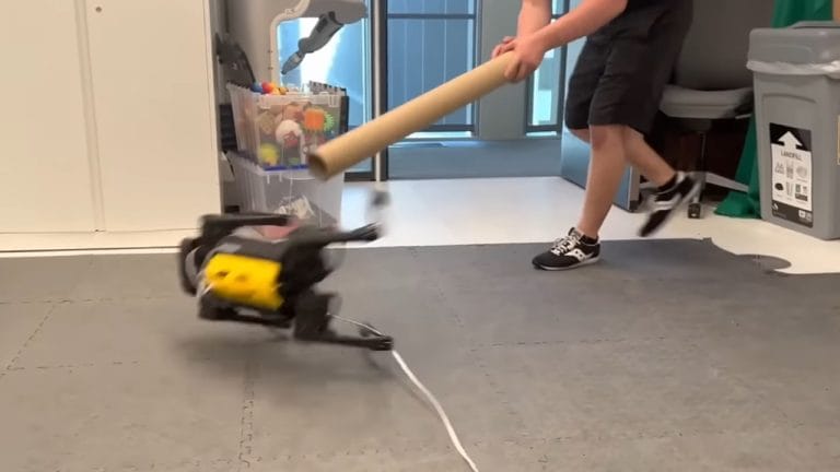 Kendi Kendine Yürümeyi Öğrenen Robot Köpek